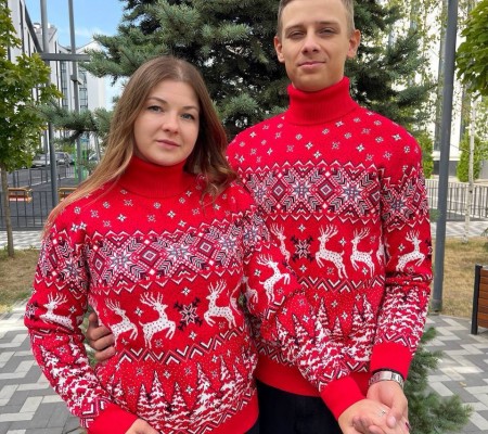 Модель ""Різдвяний олень"" 